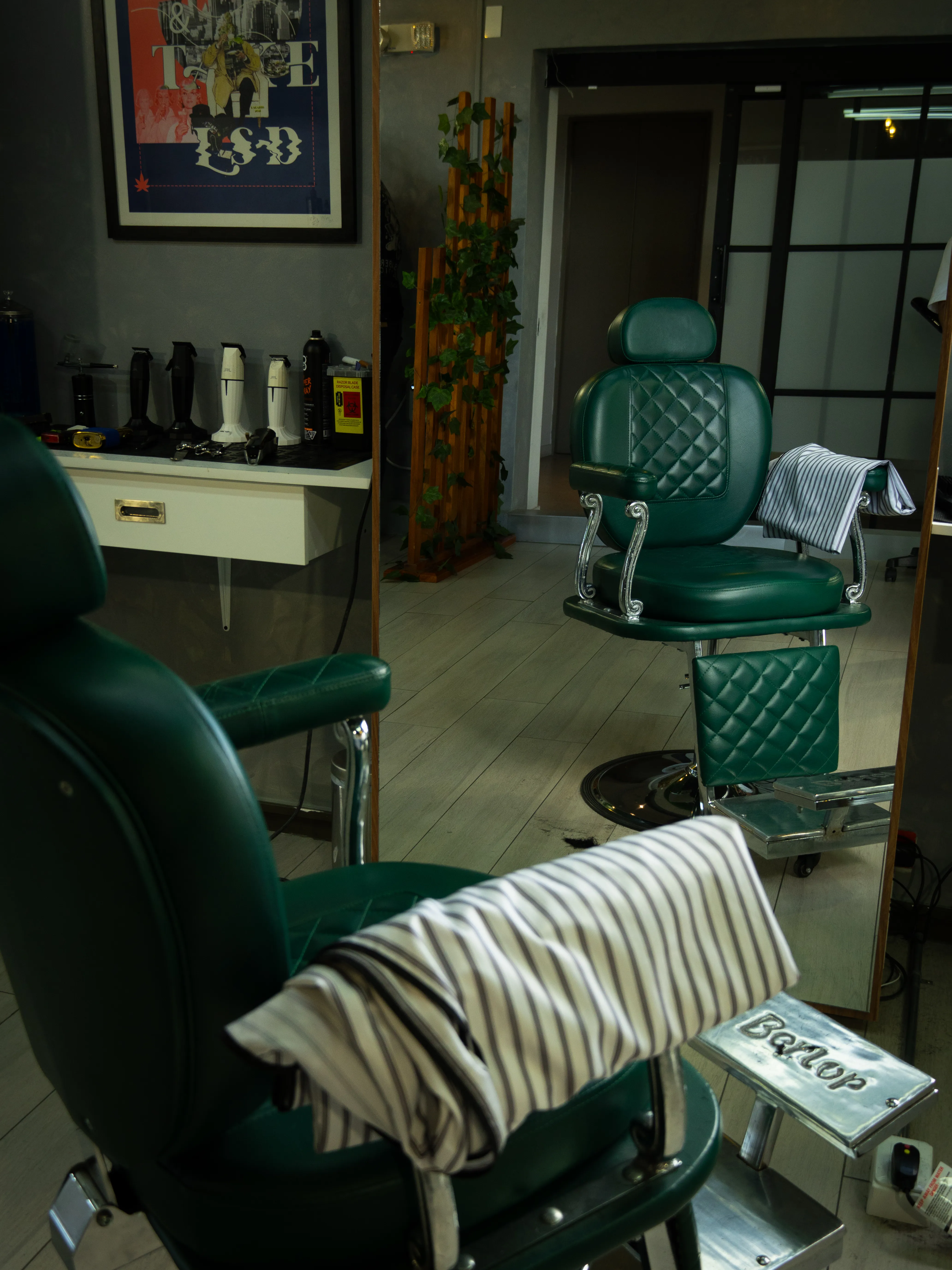 Barba Presidencial - Imagen 1