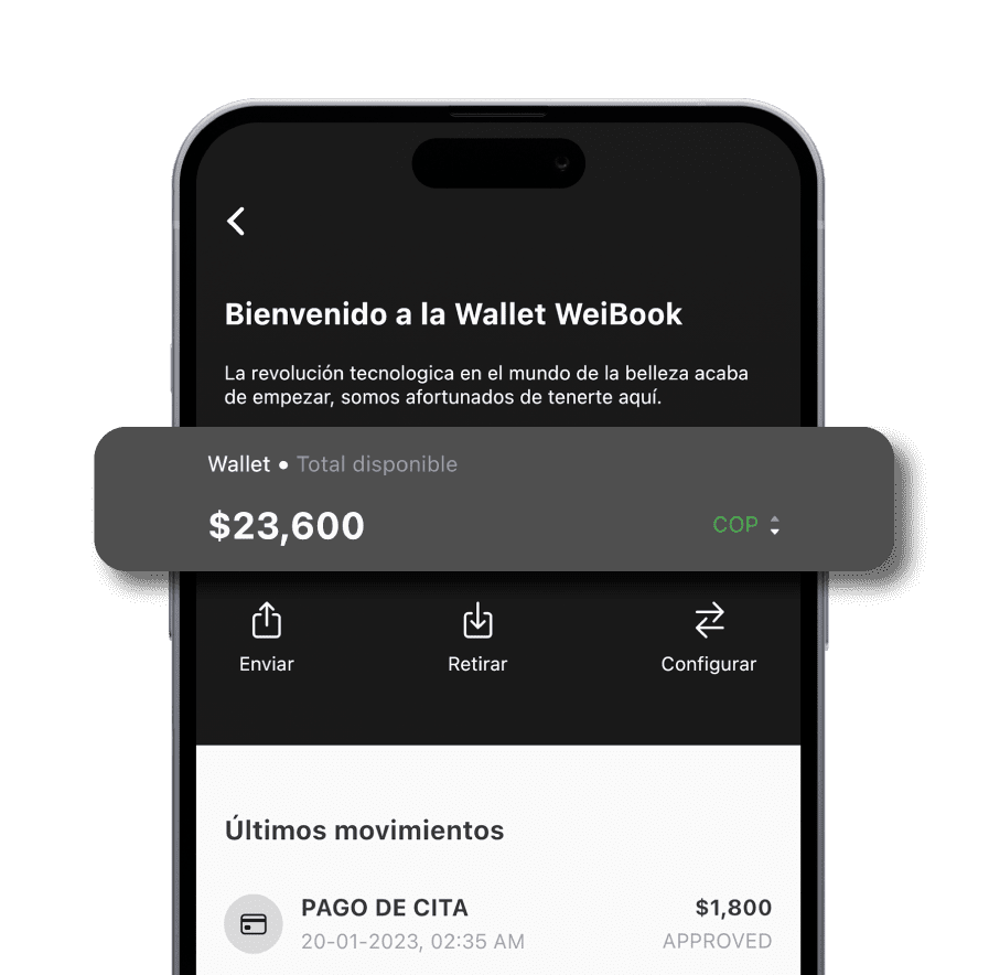 Vista de la Wallet de Weibook mostrando saldo disponible y opciones de envío y retiro