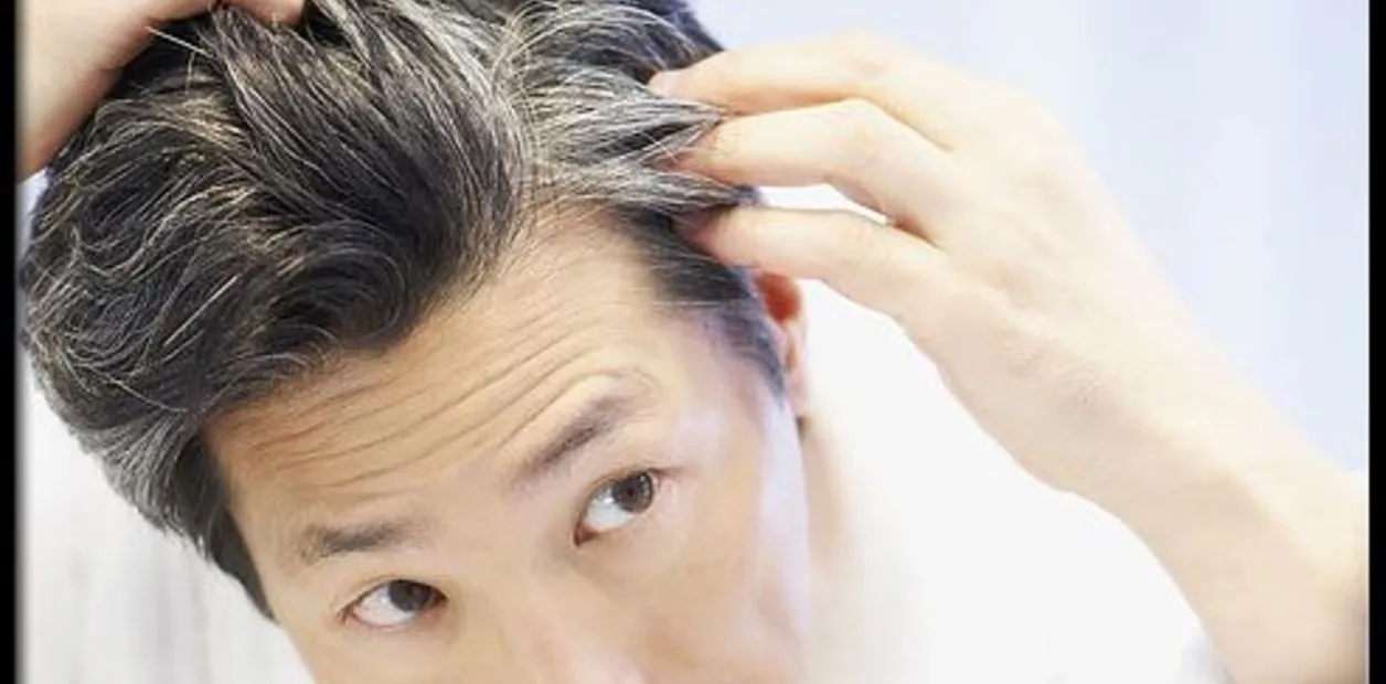 TINTURA PARA CUBRIR CANAS