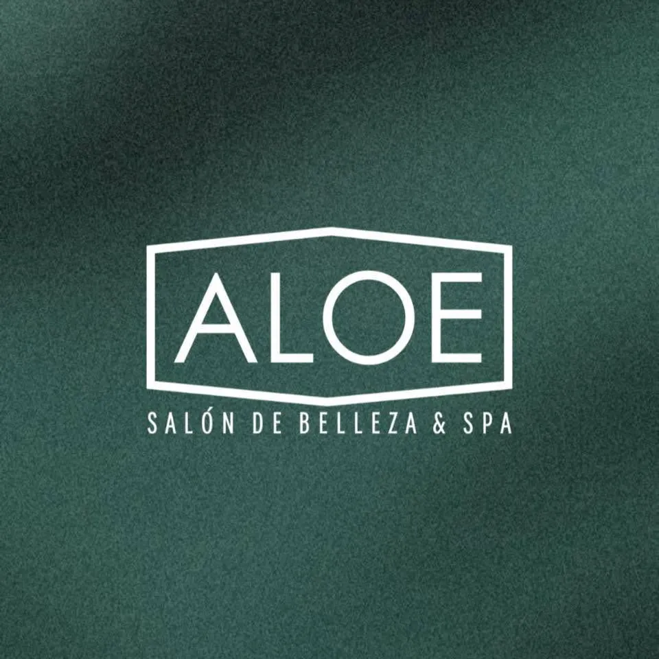 Portada de ALOE SALÓN