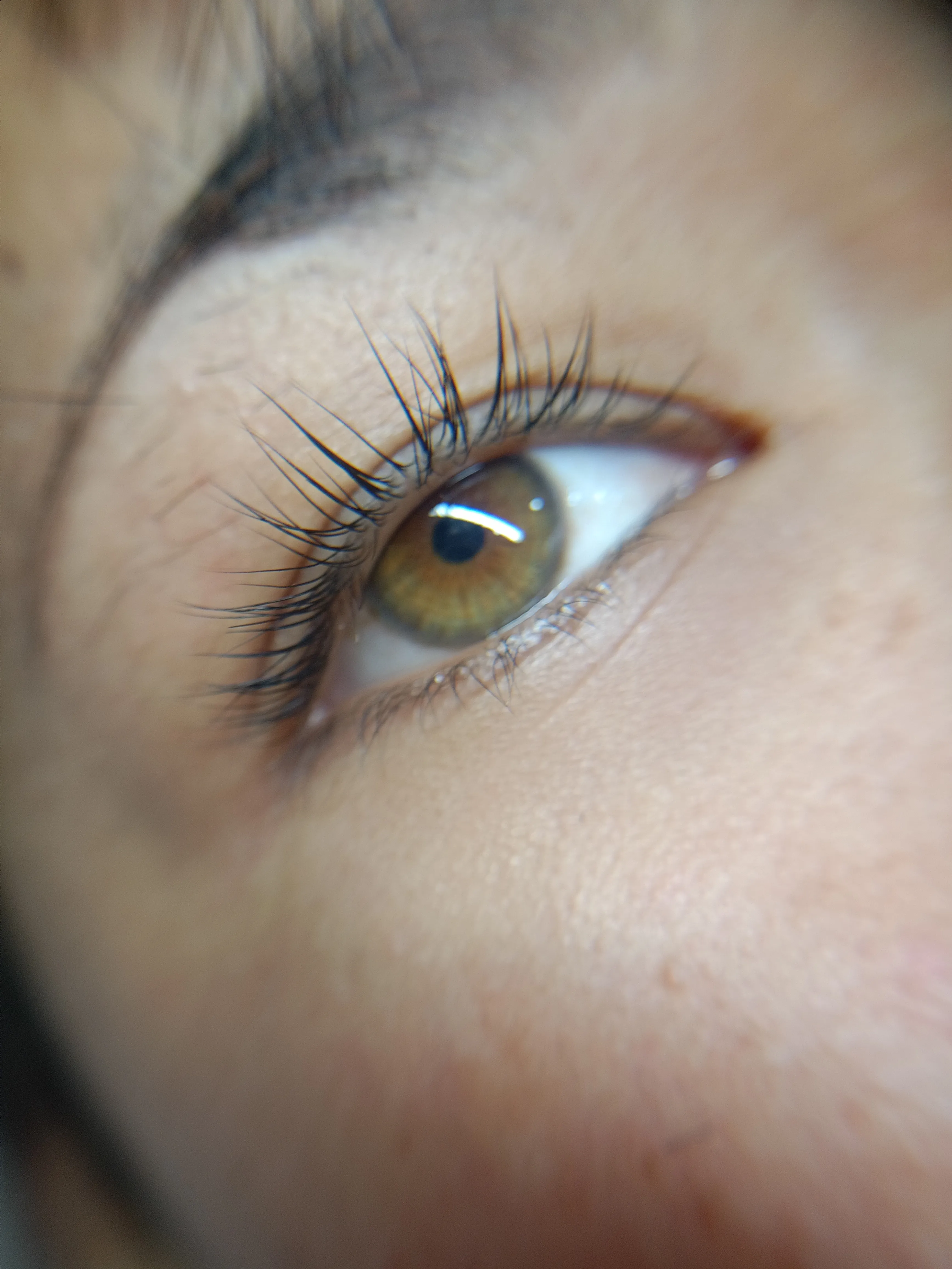 lifting de pestañas