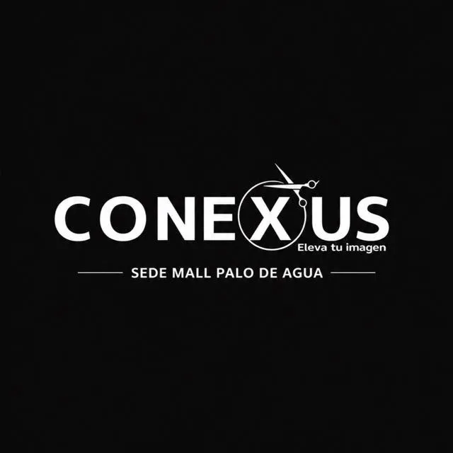 CONEXUS MALL PALO DE AGUA 
