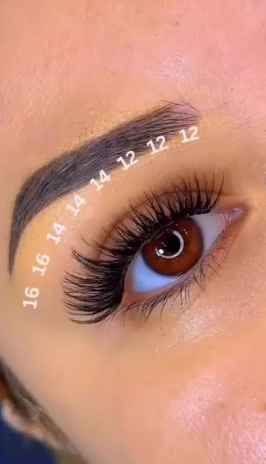 pestañas punto a punto