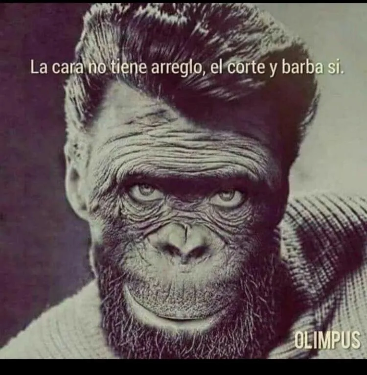 DAVID ALZATE