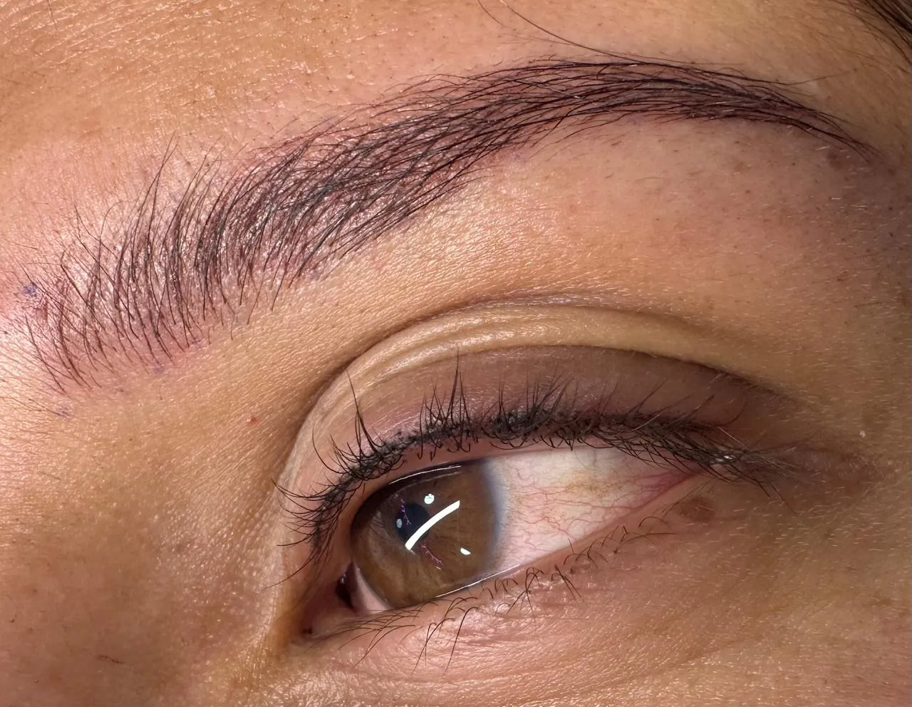 Microblading, Cejas Pelo a Pelo - 1