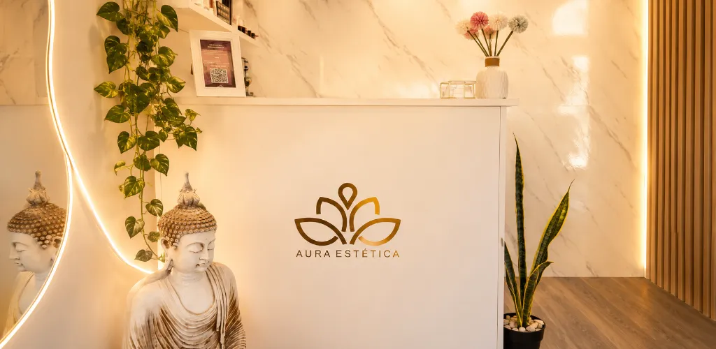 Portada de Aura