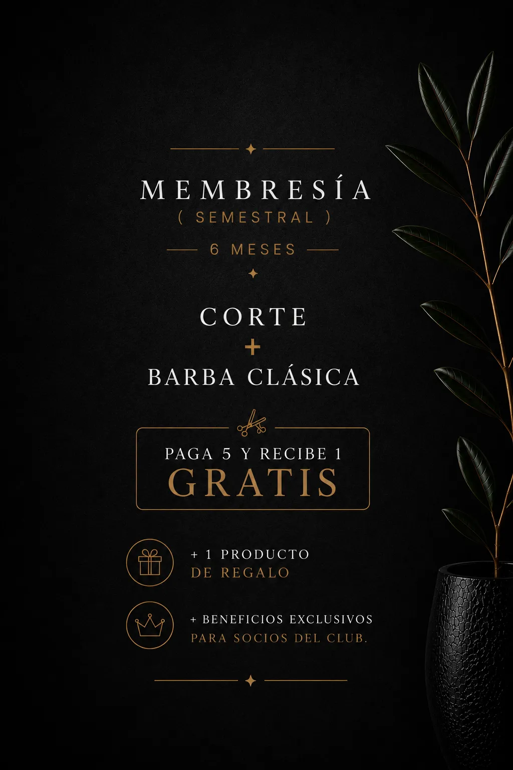 Cabello + Barba Clasica (6 meses)