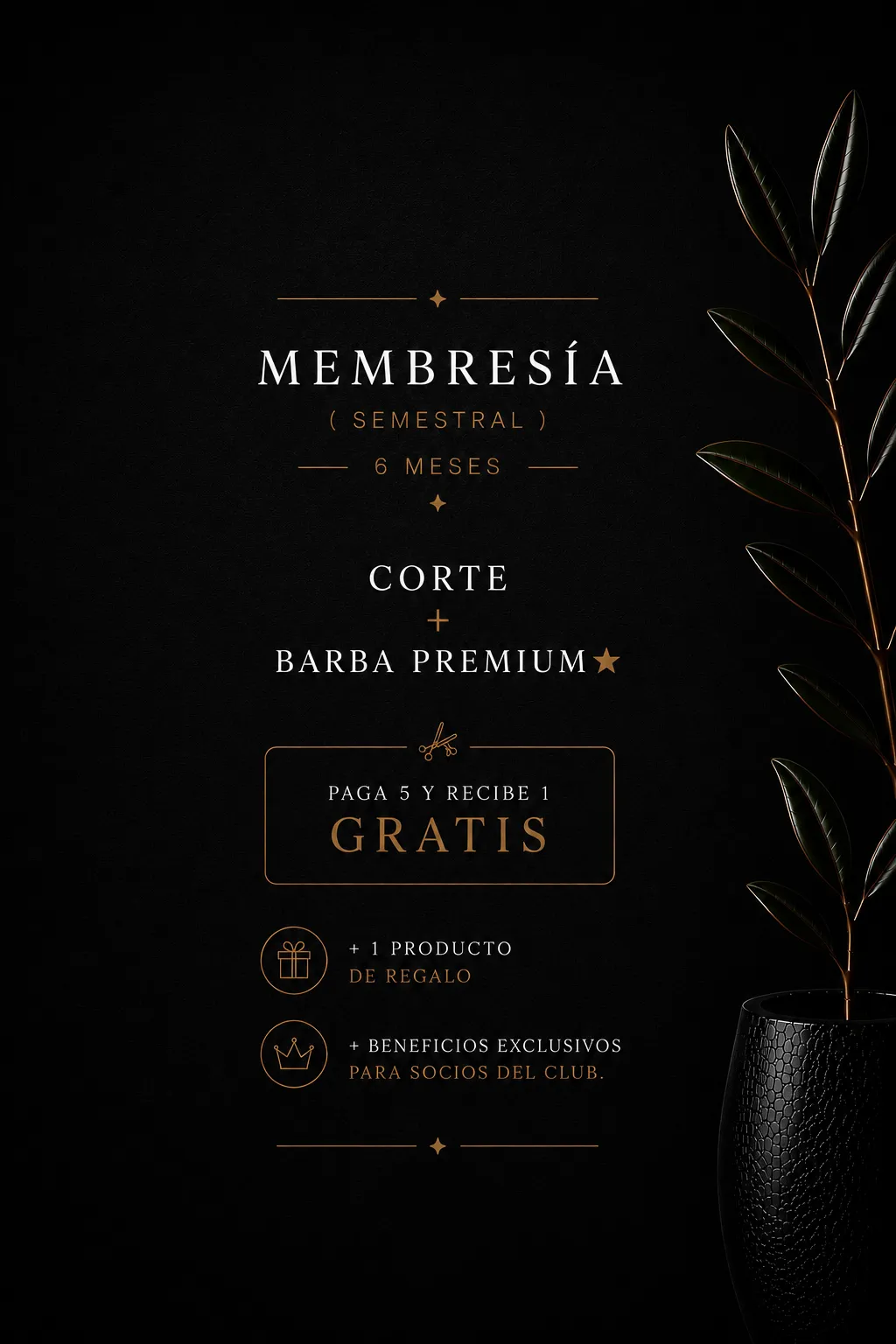 Cabello + Barba PREMIUM*  (6 meses)