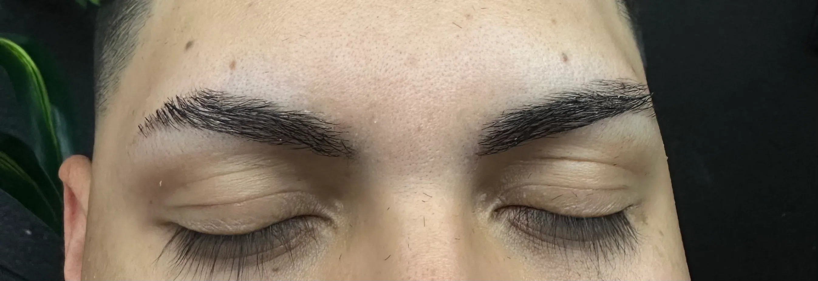 PERFILADO DE CEJAS