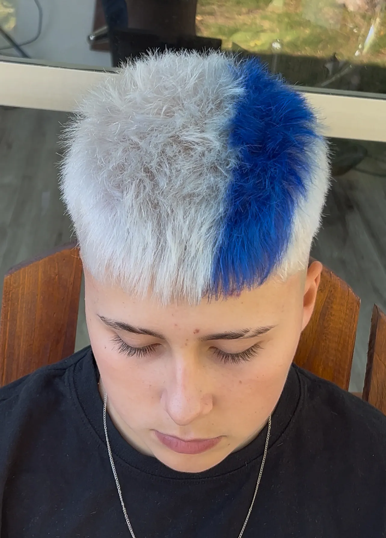 platinados - Imagen 1