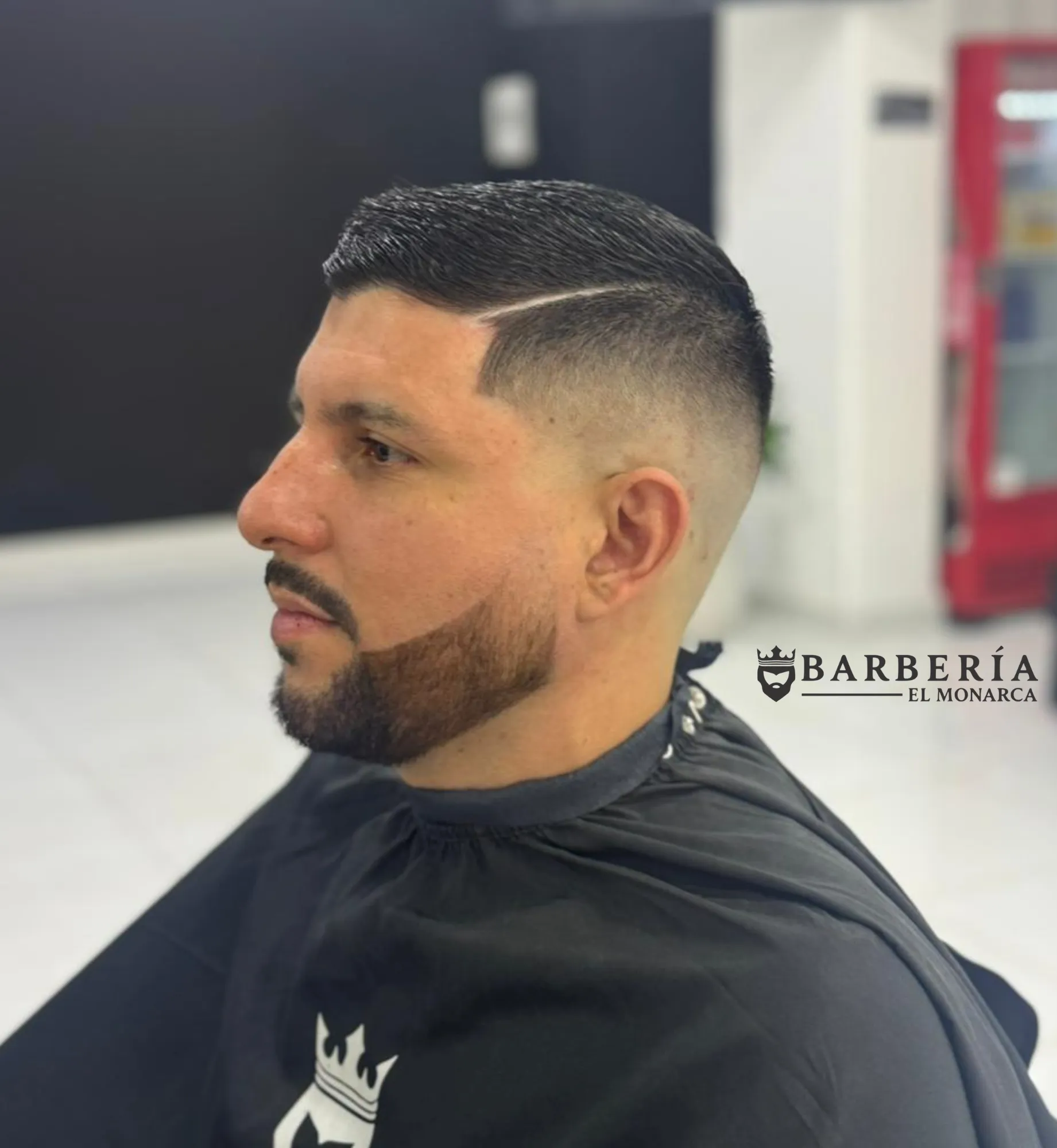 CORTE, BARBA, CEJAS, PIGMENTACIÓN  - Imagen 1