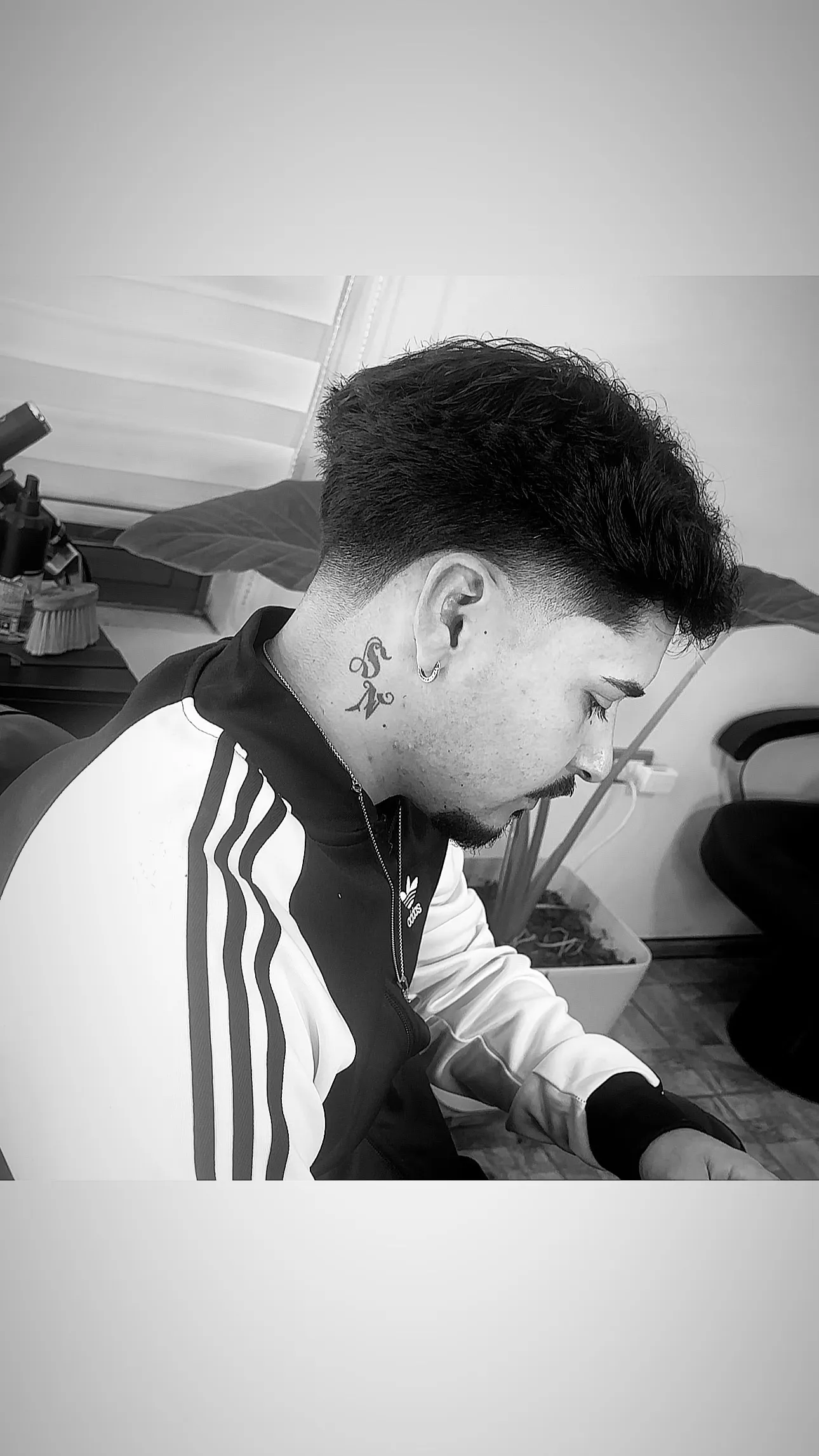corte de cabello