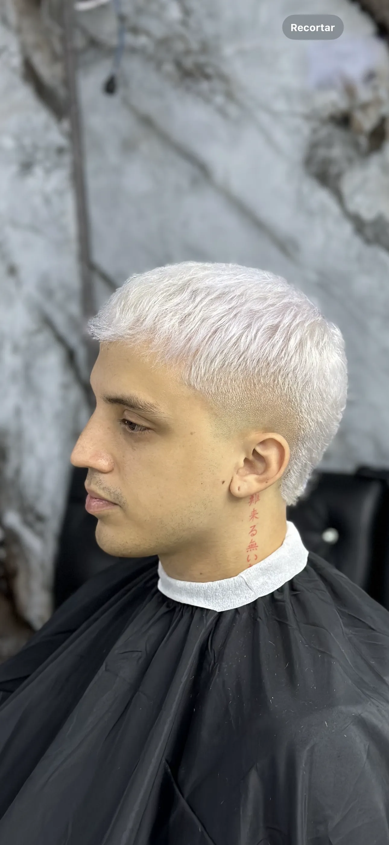 Platinado ( color completo )