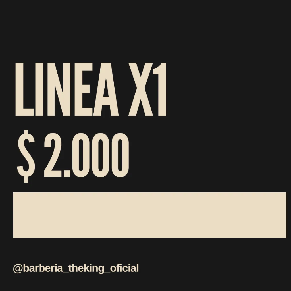 LÍNEA X1