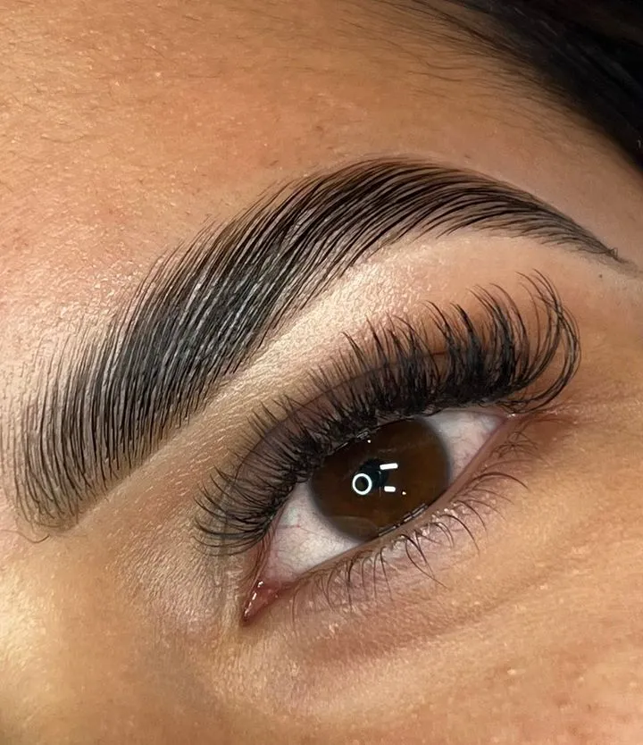 Laminado de Cejas 