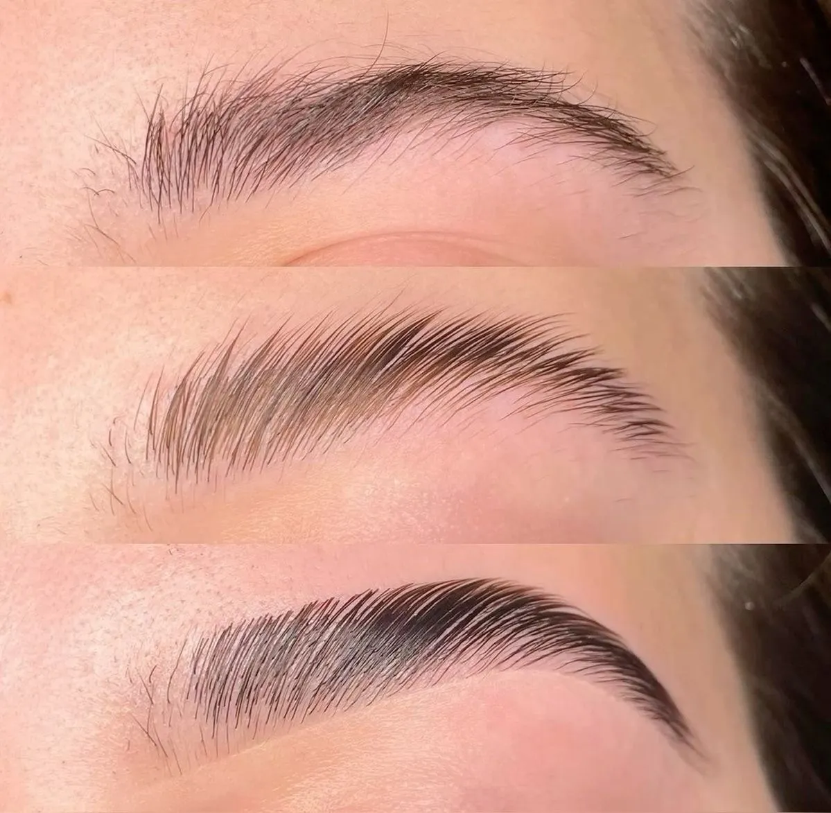 Lami Brow + Híbrido 