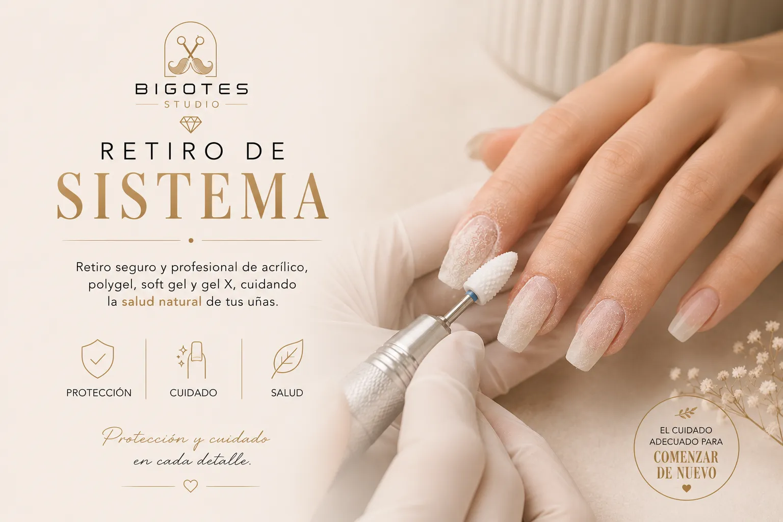 💅 RETIRO DE SISTEMA