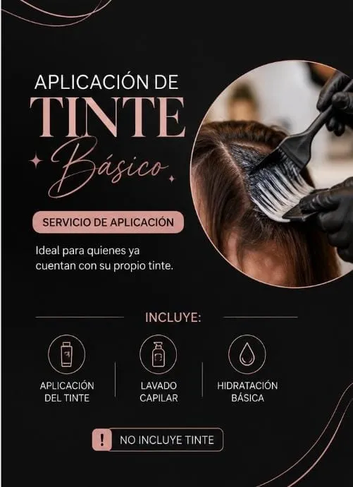 APLICACIÓN DE TINTE BASICO