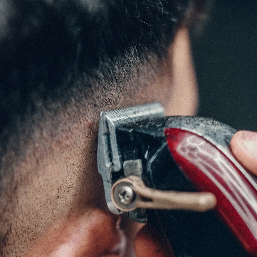 Corte