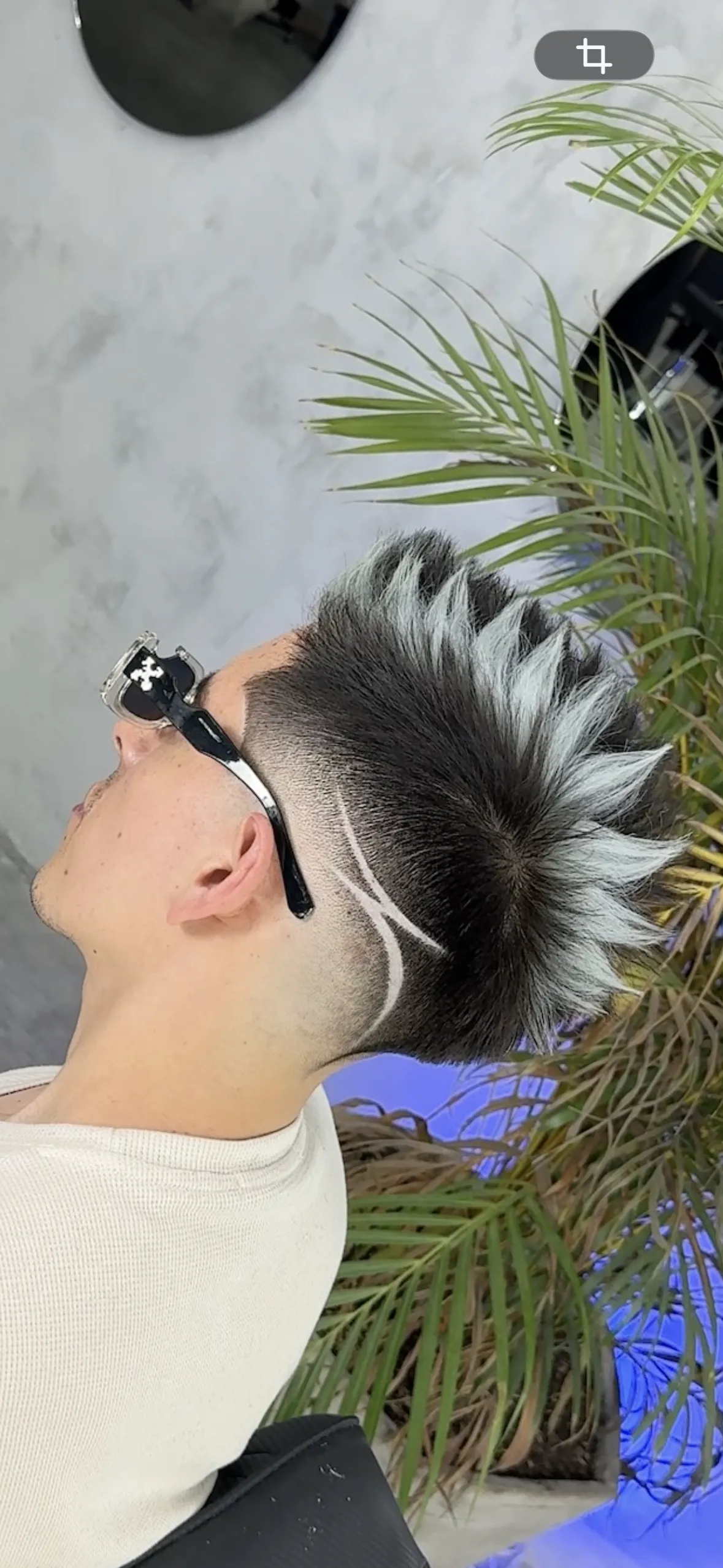 CORTE FRESH
