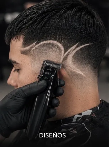 Diseños