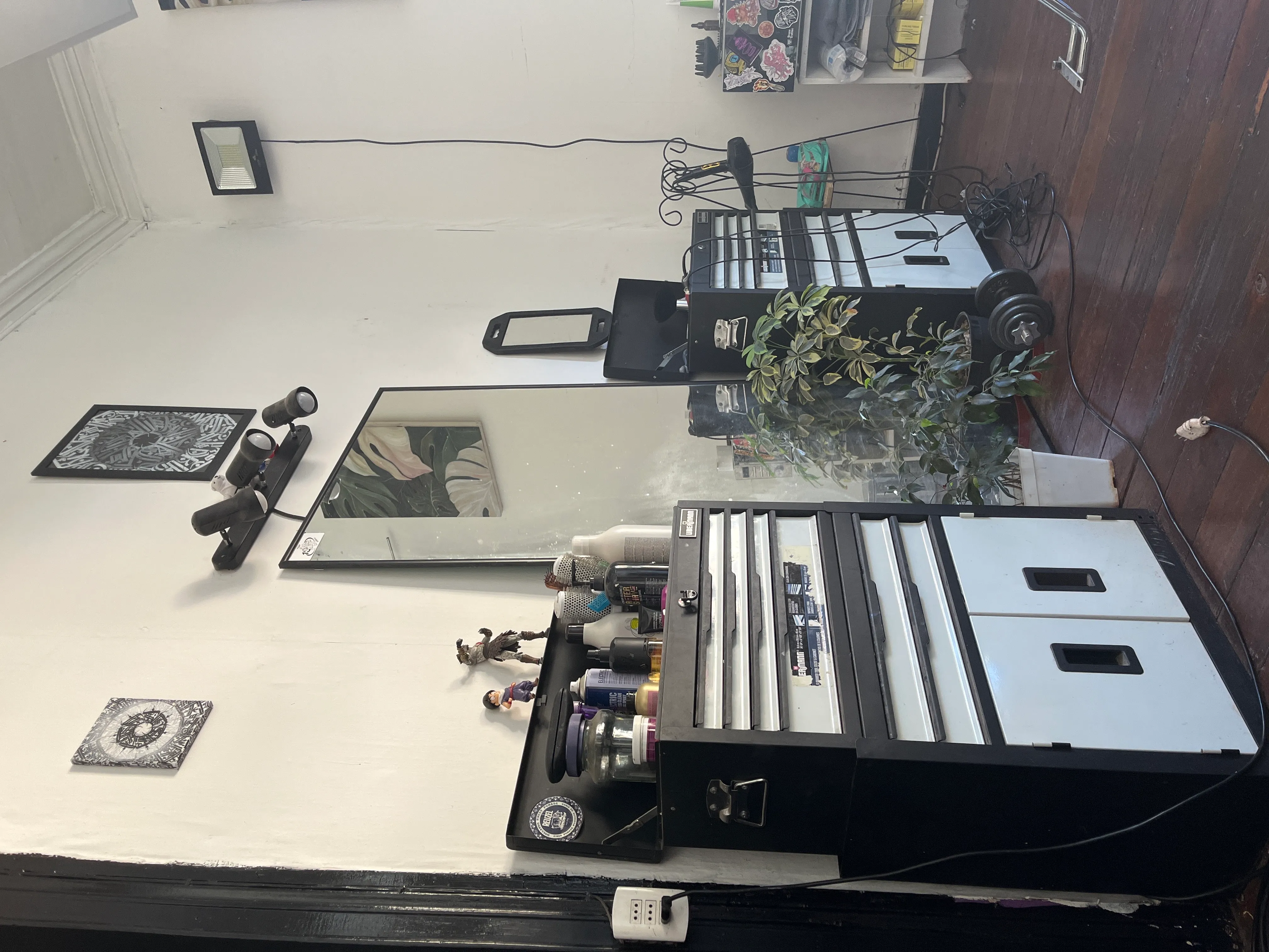 Francisco Javier cruz 