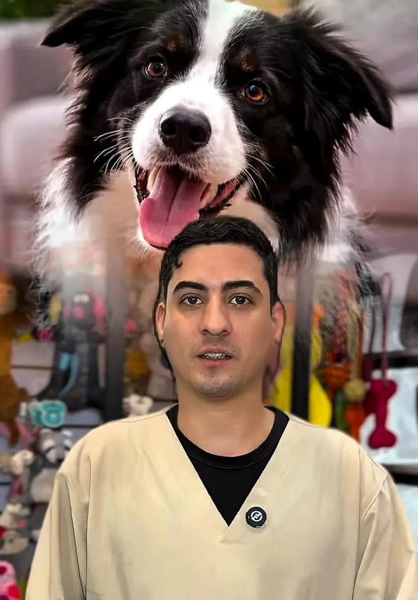 Manuel 3
