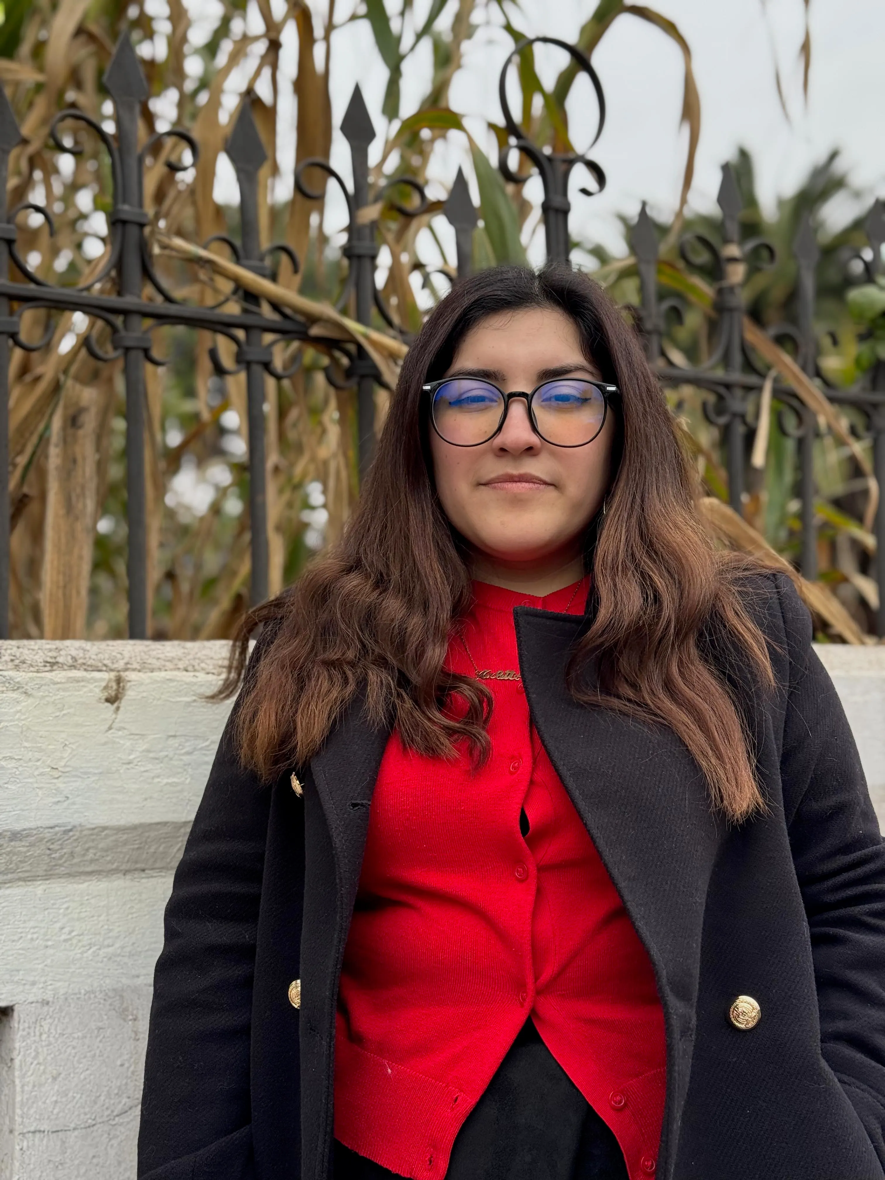 Arlette Toledo