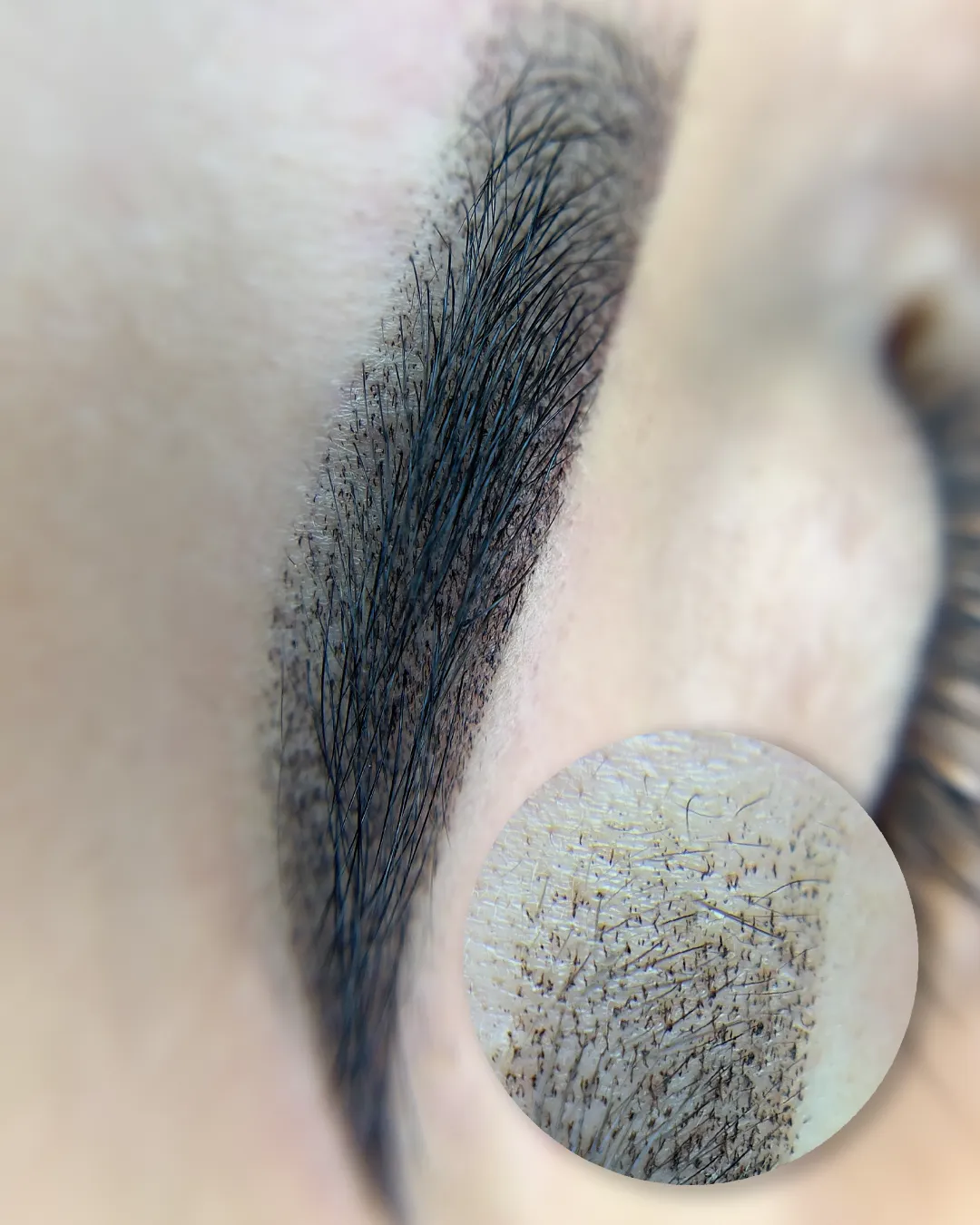 ***Cejas Vision Powder -Sombra - 5