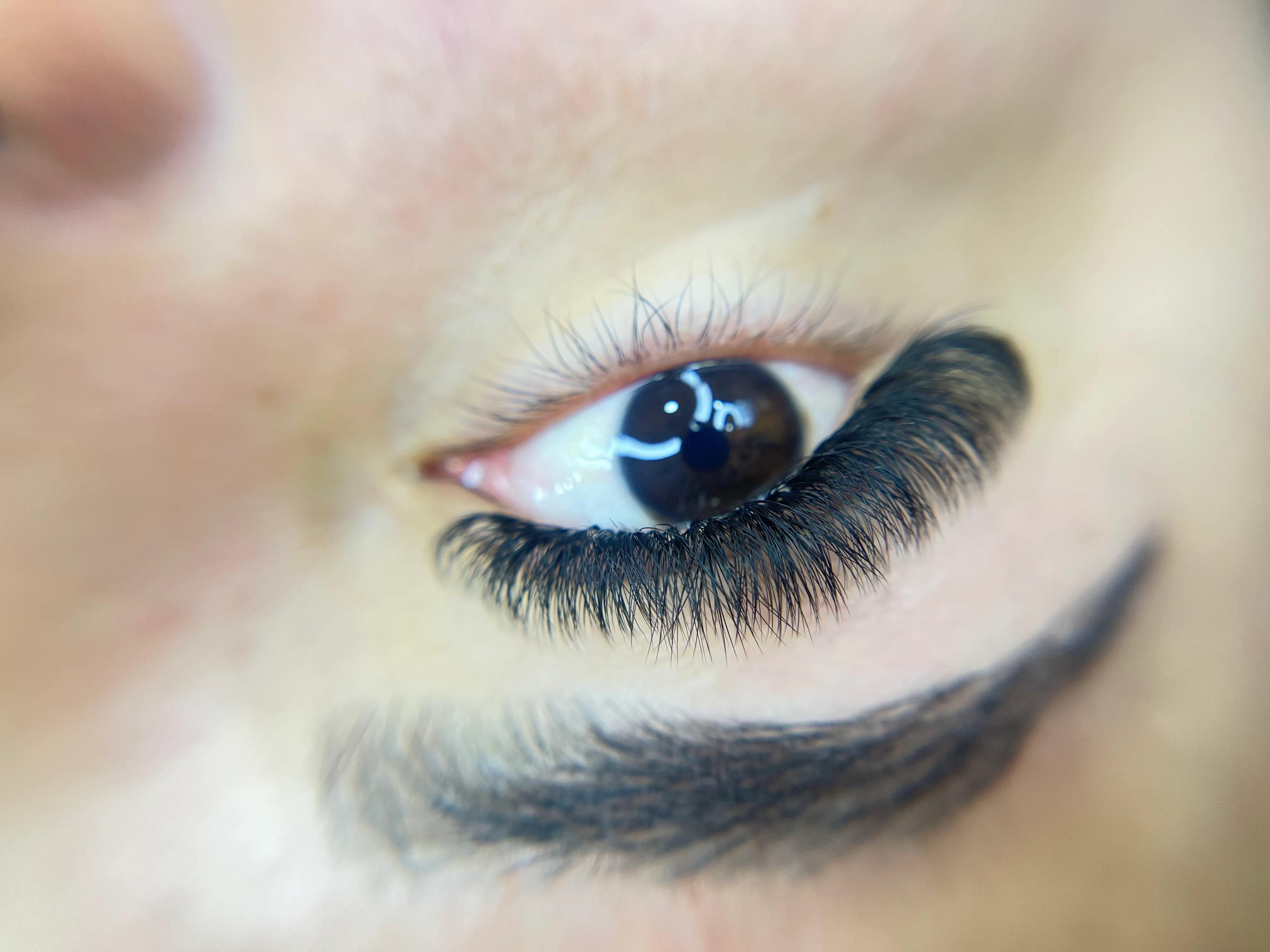 ***Pestañas Full Set 2D,3D,4D - 4