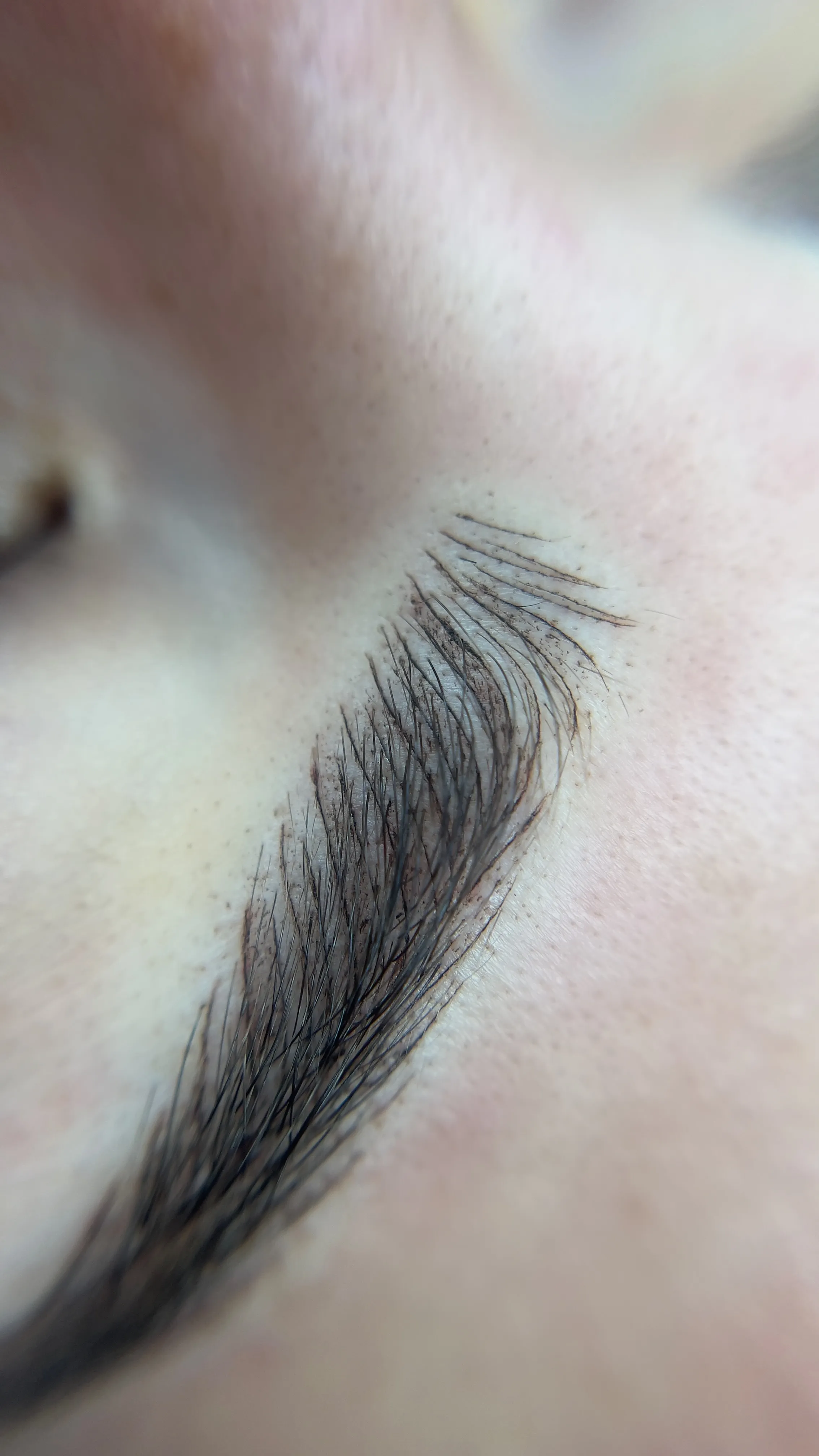 ***Cejas Microshading Híbrida  - 5