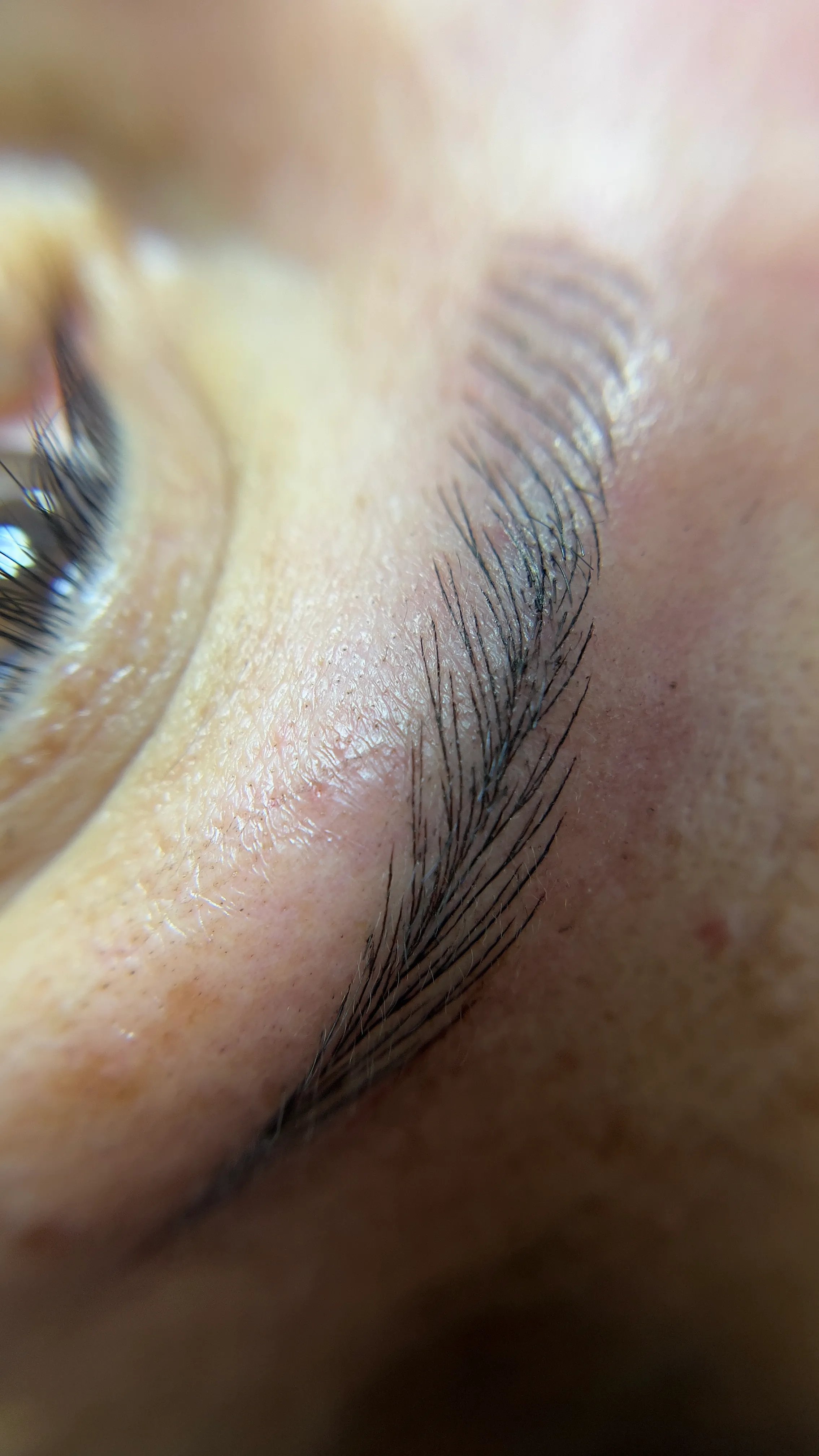 ***Micropigmentación De Cejas Pelo a Pelo - 2