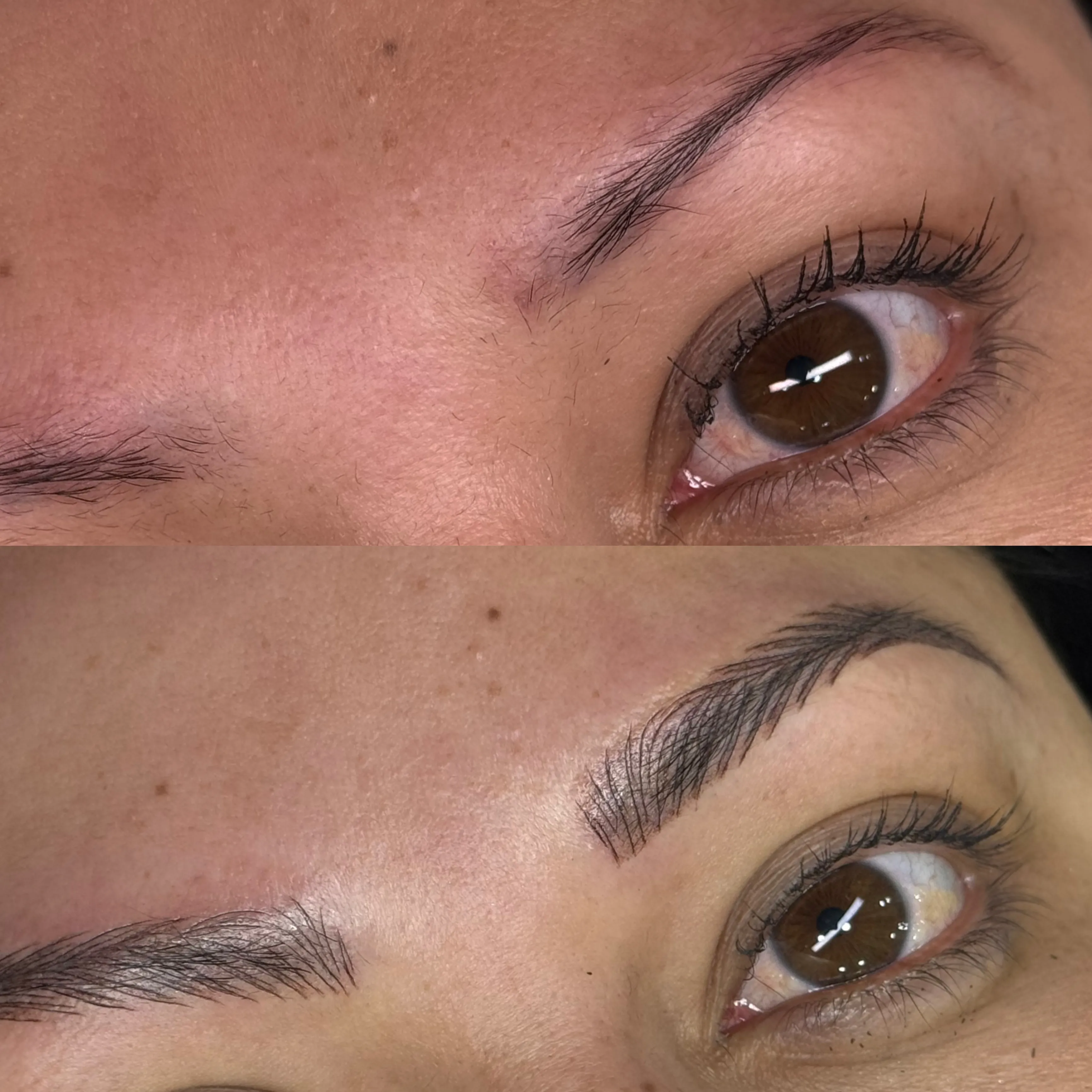 ***Cejas Microshading Híbrida  - 3