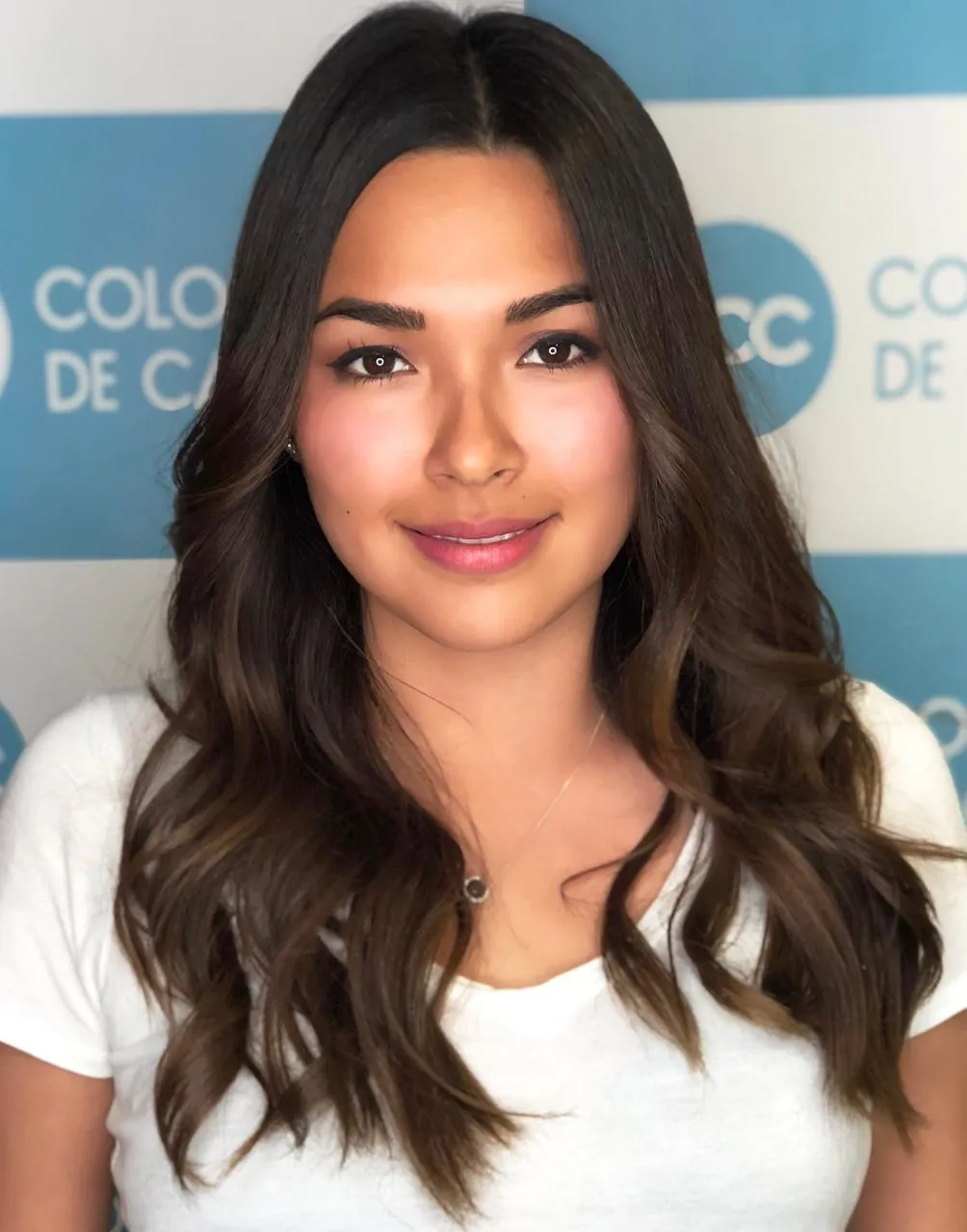 Tinte Cabello Largo (Altura Del Brasier )