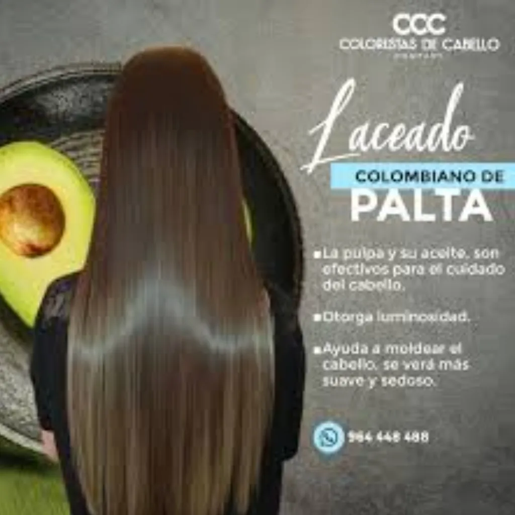 LACEADO DE PALTA