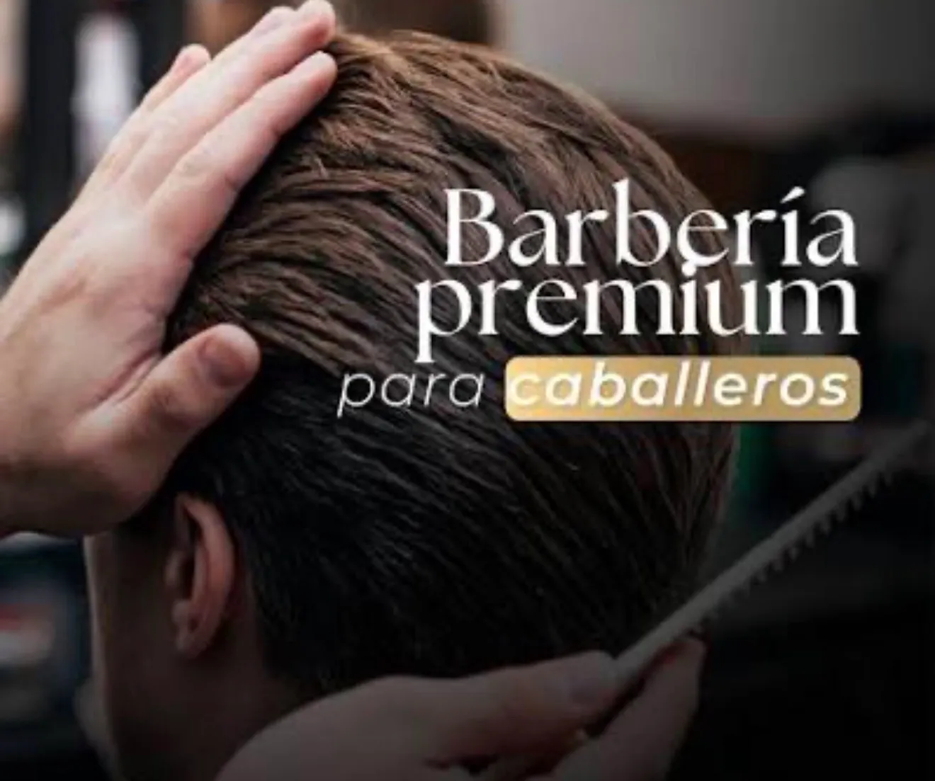 SEEVICIO GOLD PREMIUM