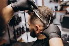 Corte de Caballero