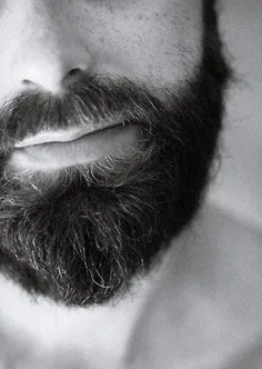 BARBA SOLA - Imagen 2