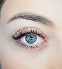 EXTENCIONES 2D - Imagen 1