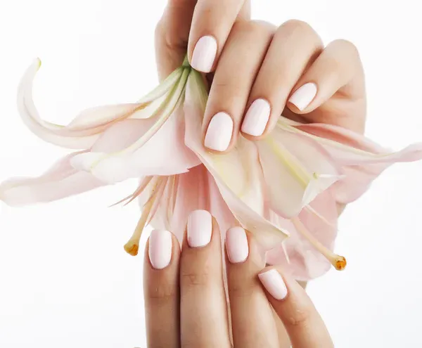 MANICURE REGULAR