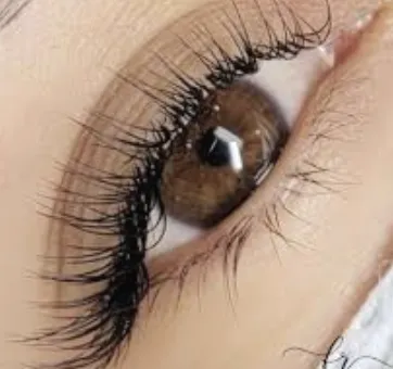 EXTENSIONES CLASICAS