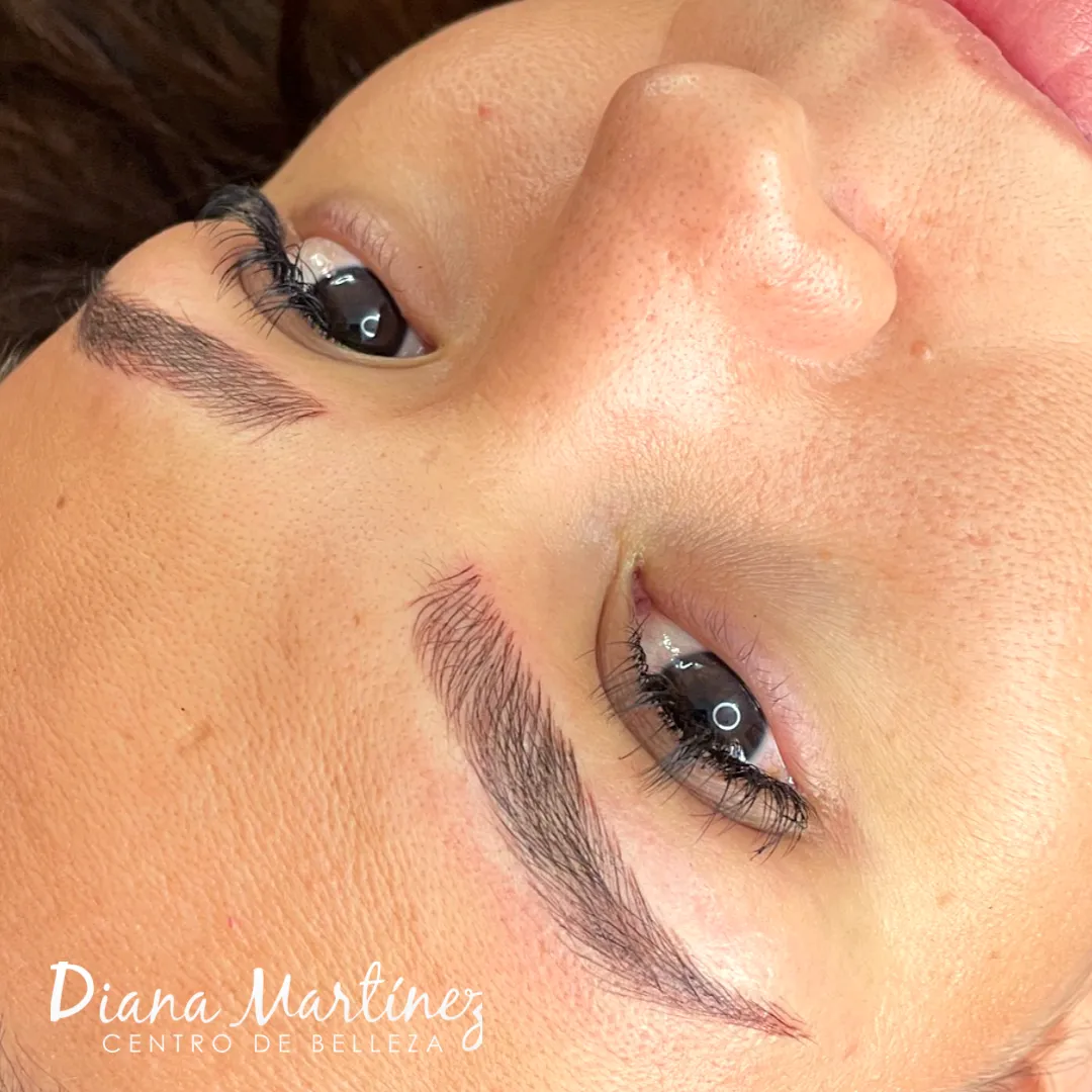 Retoque de ceja microblading anual