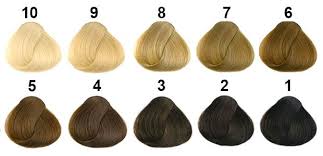 APLICACION DE TINTE CABELLO CORTO 