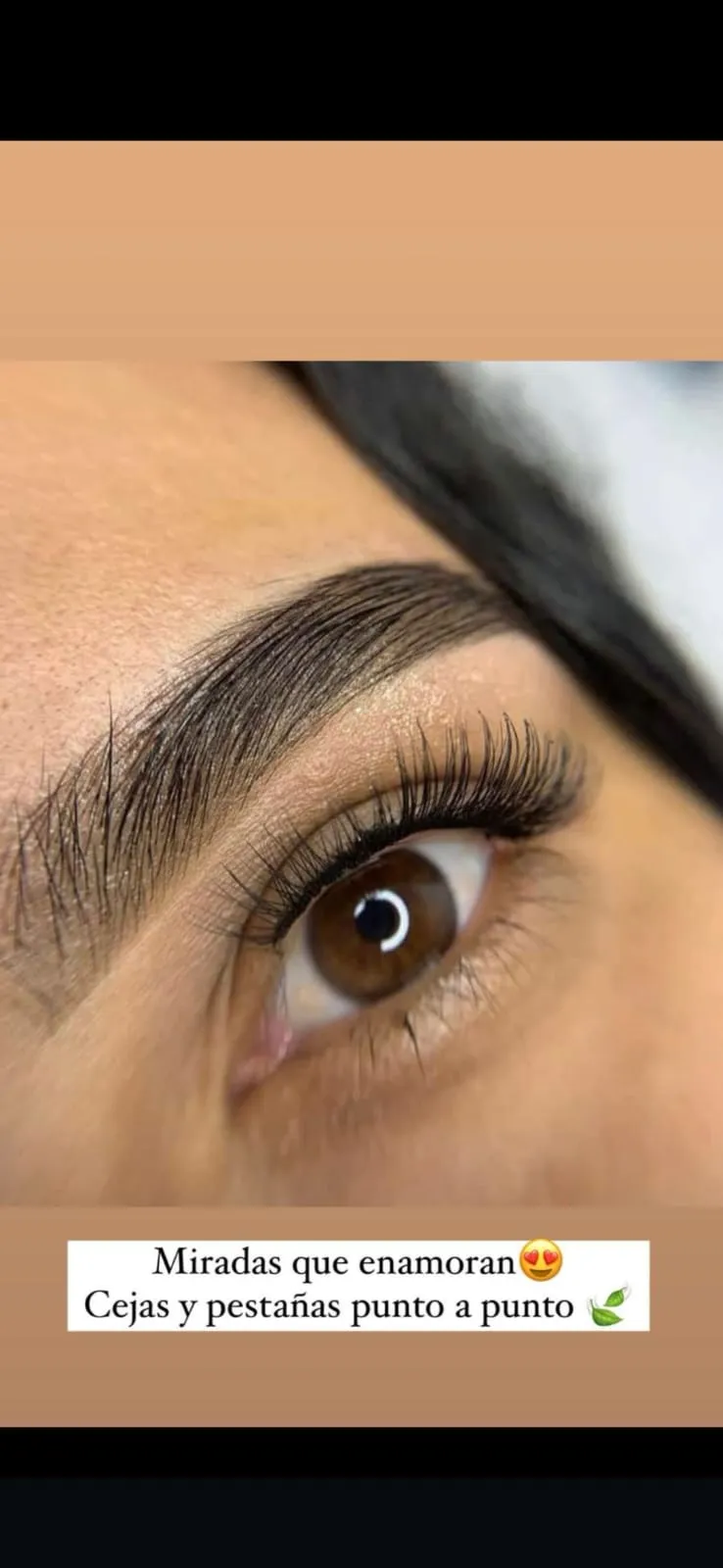 combo cejas y pestañas