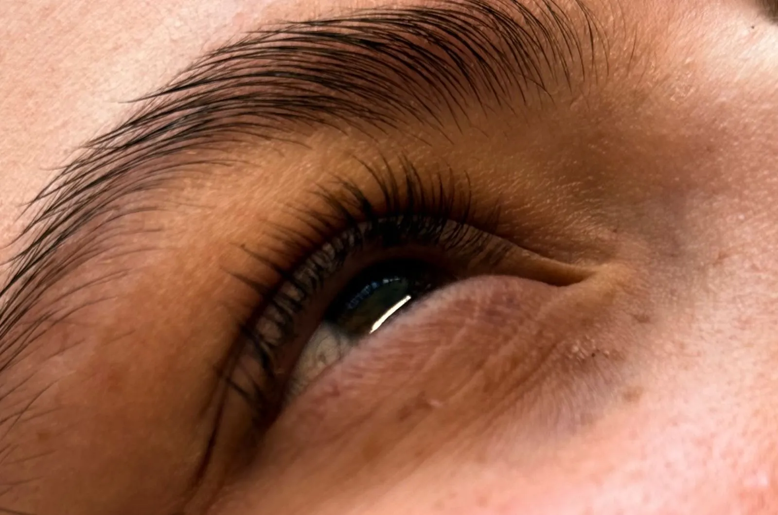 lifting de pestañas con tinte