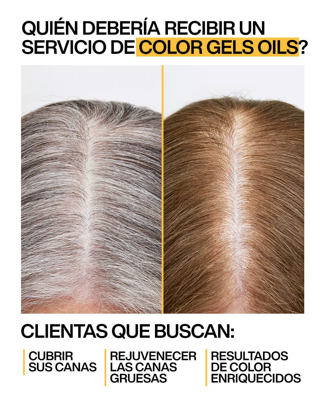 Cobertura de canas