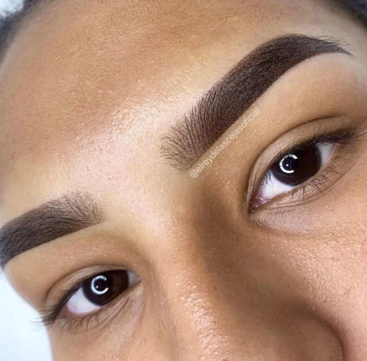 CEJAS LUXURY BROW