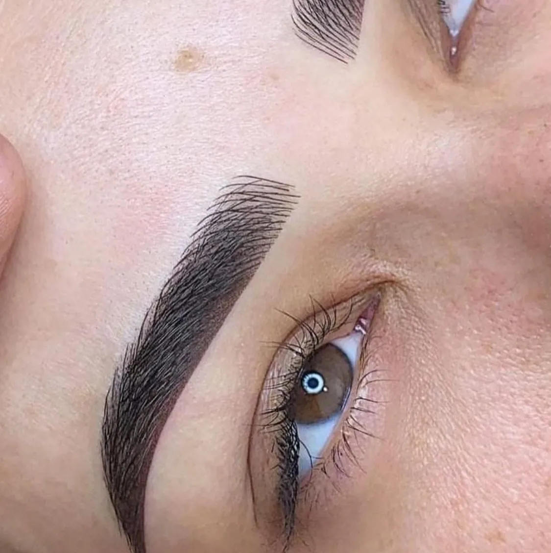 CEJAS HÍBRIDAS