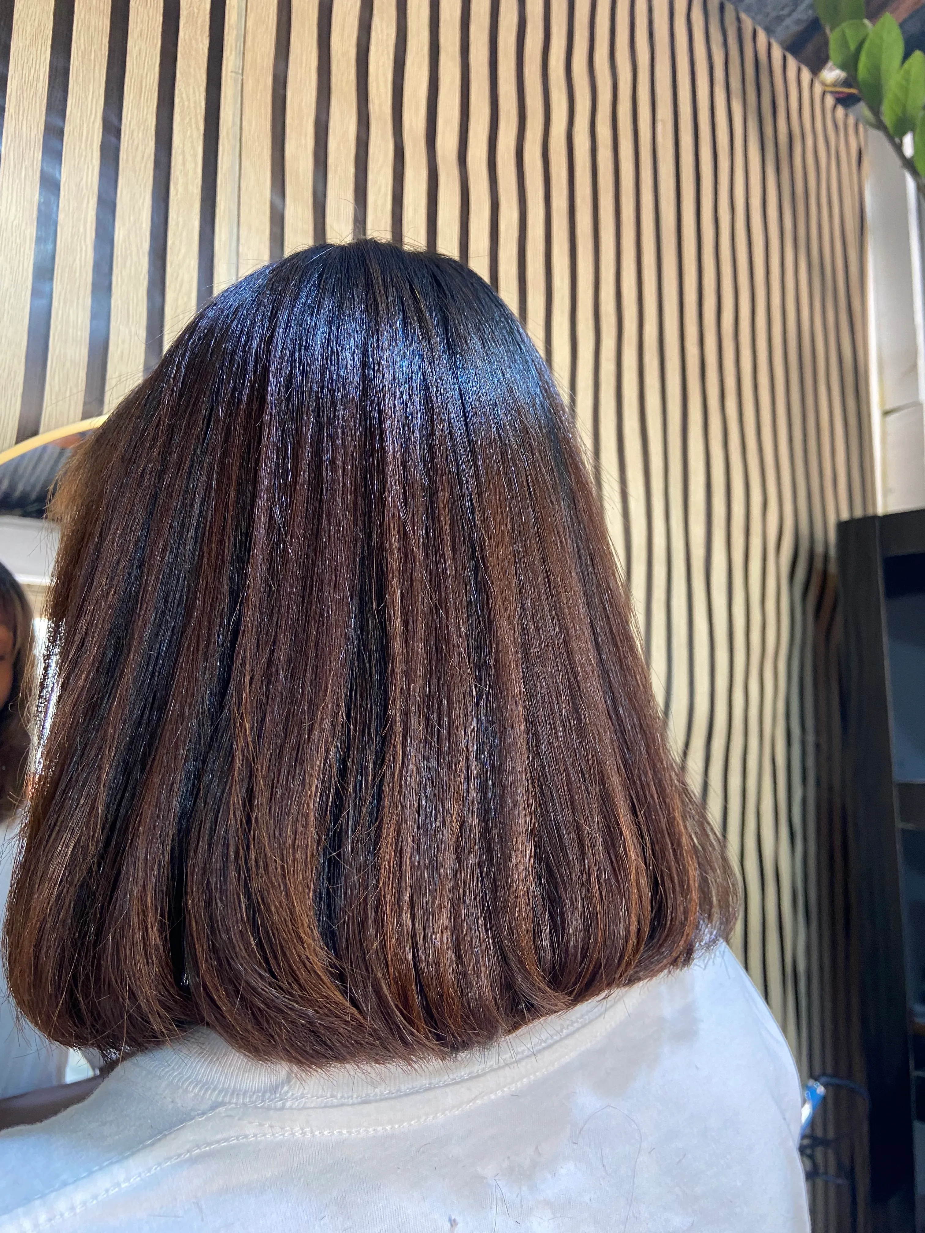 Lavado de pelo medio