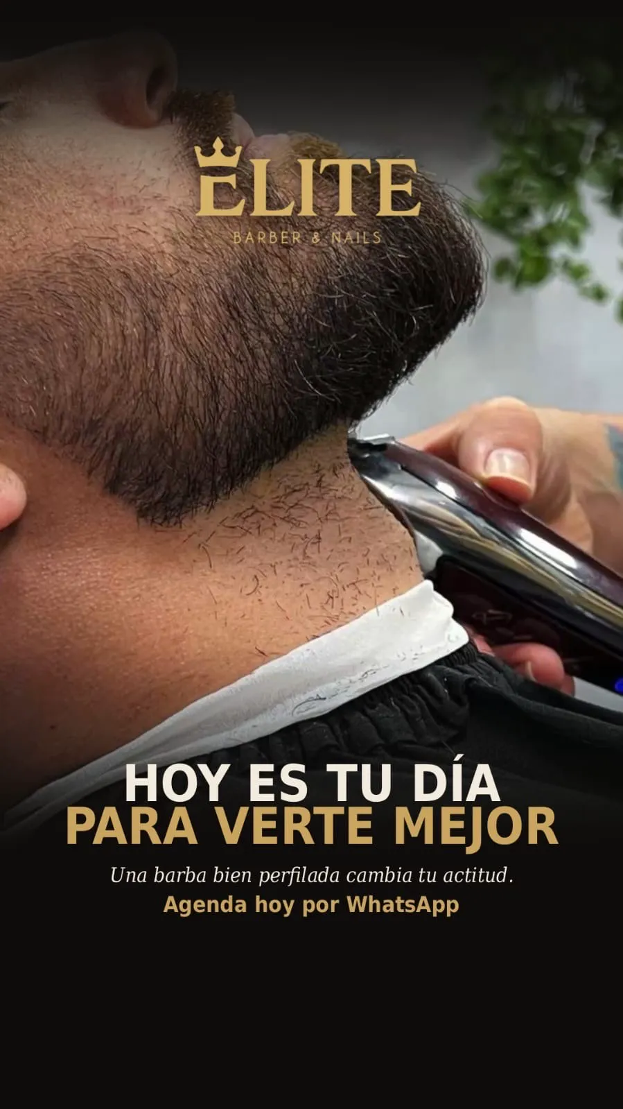Barba